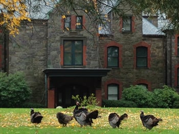 Thanksgiving with Mary Baker Eddy