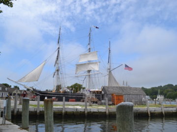 Longyear staff has a whale of a time on annual summer field trip