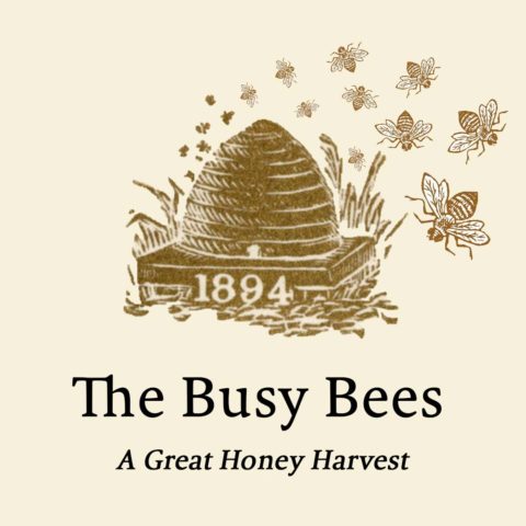 The Busy Bees: A Great Honey Harvest