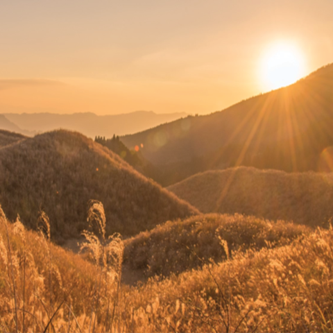 “A Westward Wind: Christian Science Pioneers on the Pacific Coast”