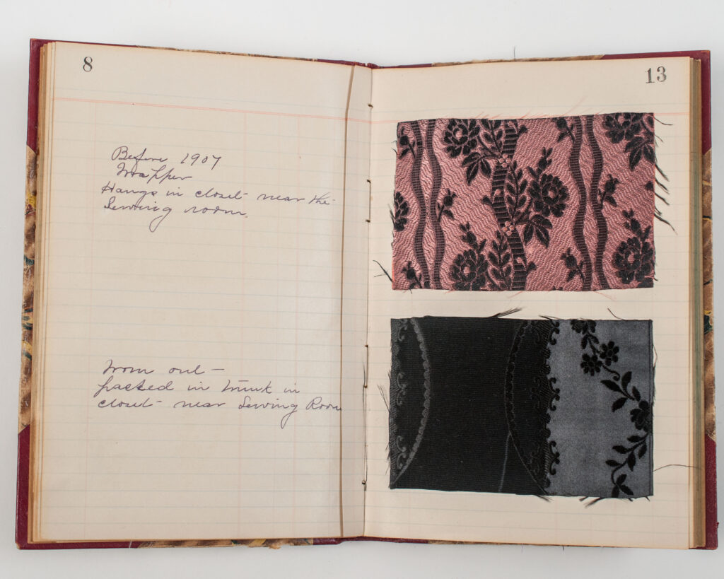 A Record of Beauty and Color