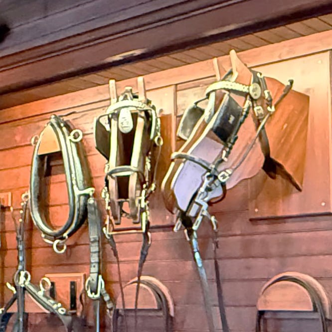 Behind the Scenes with Longyear: Tack Display